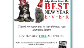 Norfolk SPCA Best New Year Ever