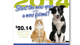 Norfolk SPCA New Friend 2014