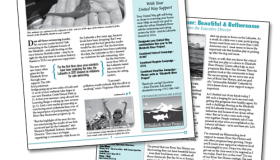 Elizabeth River Project: Mudflats Newsletter
