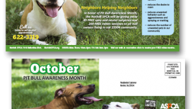 Norfolk SPCA Pitbull Spay/Neuter Postcard