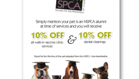 Norfolk SPCA: Alumni Pet Perks