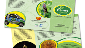 Palmetto Green